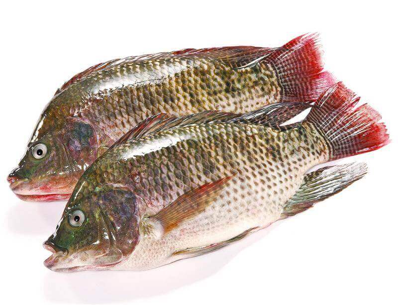 How to Dry Tilapia